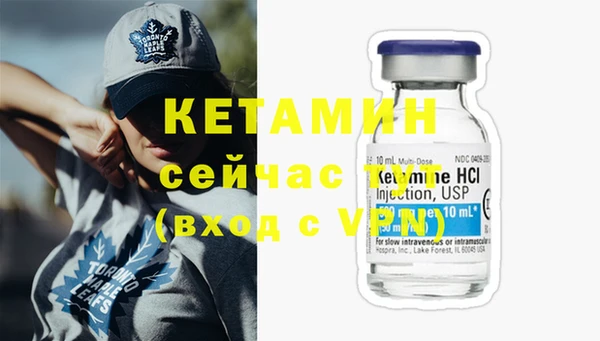 хмурый Верея