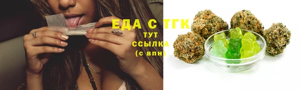 хмурый Верея