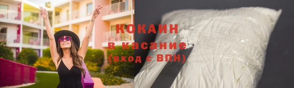 хмурый Верея