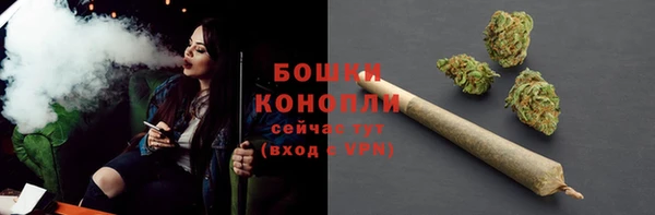 хмурый Верея