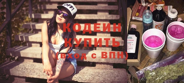 хмурый Верея