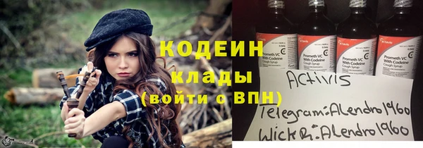хмурый Верея